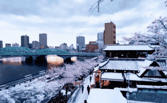 颠覆！OpenAI发布文生视频模型Sora