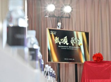 一载甄心 墅启新程｜VillaePaint甄图艺墅家品牌一周年