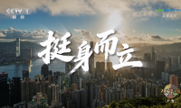 广联达《挺身而立》登陆央视,以产业AI回应建筑业未来之问