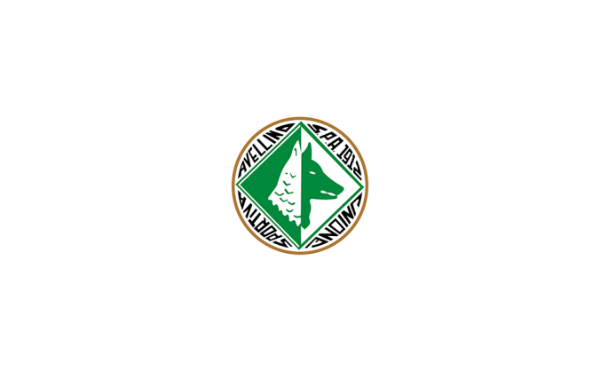 阿韦利诺1912足球俱乐部队徽logo标志矢量图